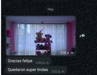 Cliente comparte foto de sus cortinas instaladas y agradece el trabajo